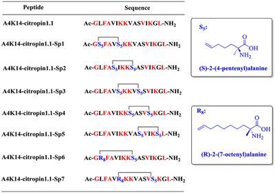 Design, Synthesis, and Antitumor Activities Study of Stapled A4K14-Citropin 1.1 Peptides